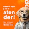 Petshop estamos aqui para te atender