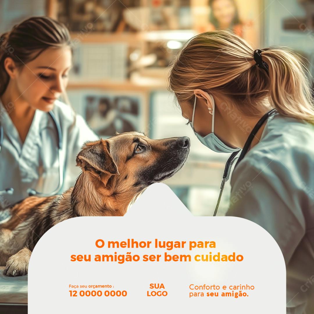 Post para Veterinária PSD Editável
