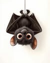 Image, of, an, upside down, bat, cartoon, character.