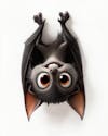 Image, of, an, upside, down, bat, cartoon, character.