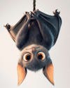 Image, of, an, upside down, bat, cartoon, character.