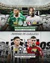 Jogo do dia palmeiras x são paulo e botafogo x flamengo