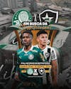 Jogo do dia palmeiras x botafogo (feed e stories)