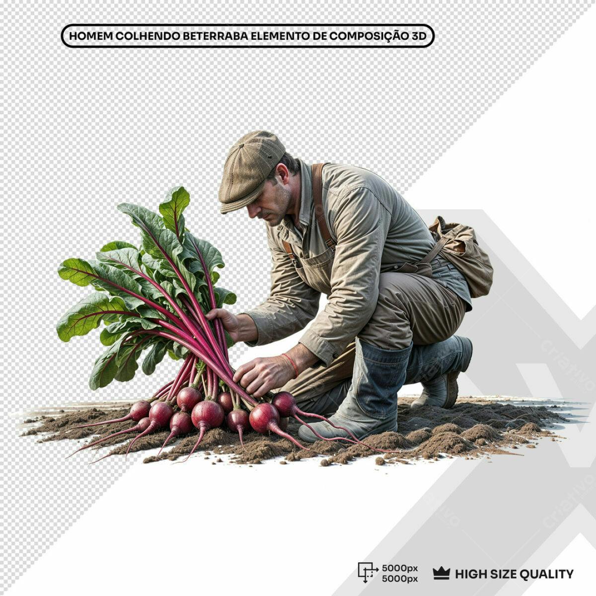 Elemento 3D Agricultor Colhendo Beterraba PSD Editável
