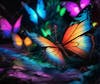 Colorful butterflies, garden, flowers