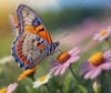 Colorful butterflies, garden, flowers