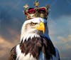 Eagle king wearing crown