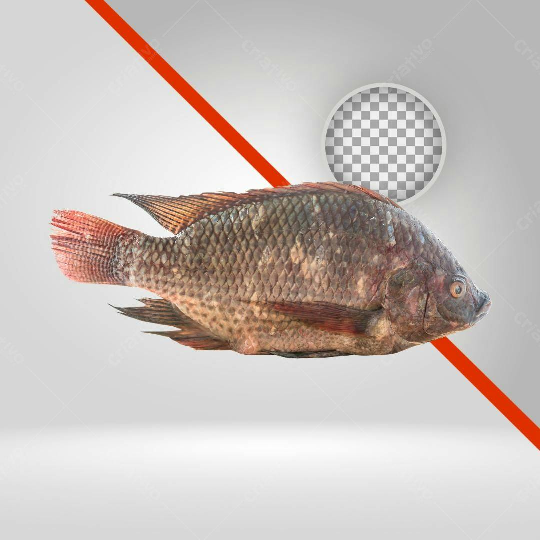Icone Peixe Tilápia PNG com fundo transparente