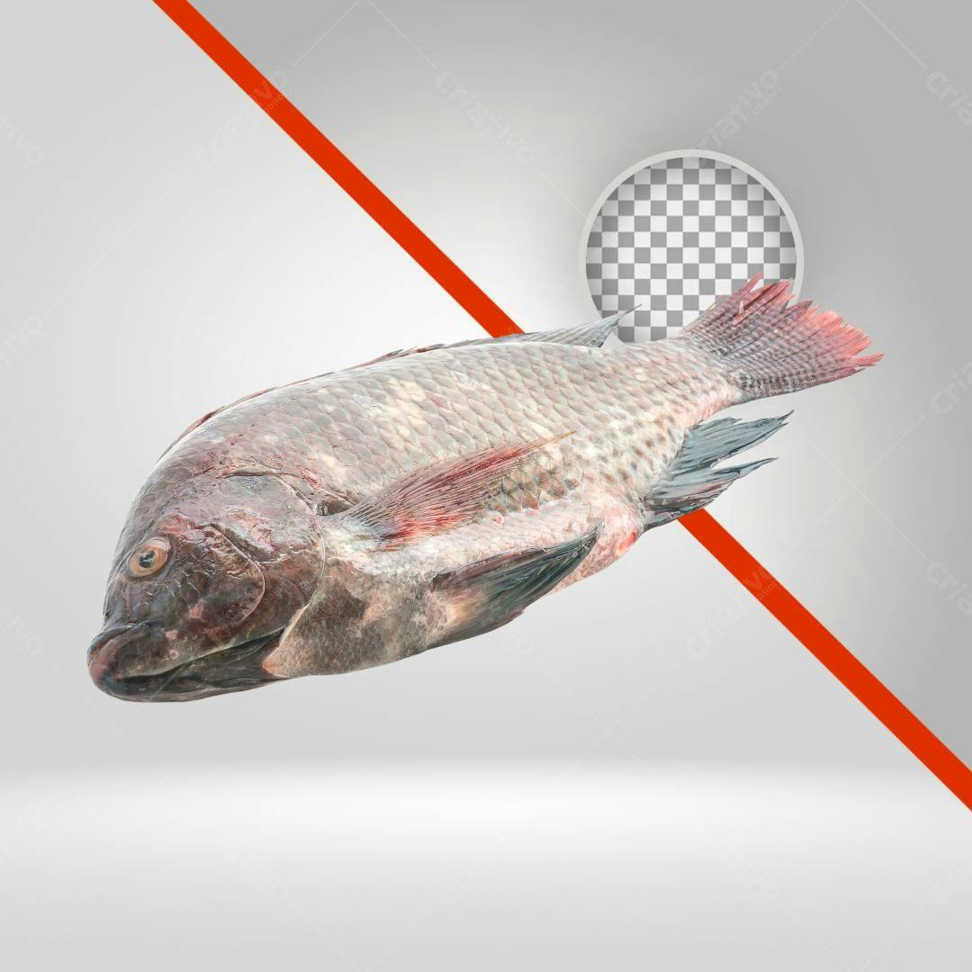 Icone Peixe Tilápia PNG com fundo transparente
