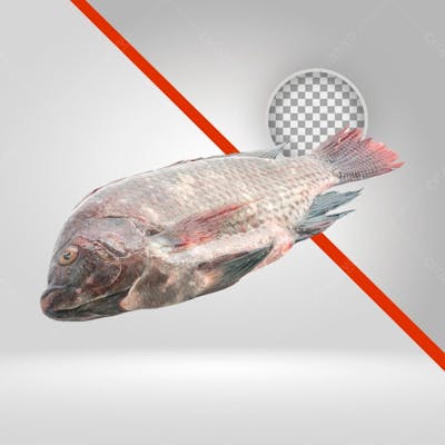 Tilápia Peixe Fresco Png, Peixaria, Páscoa, Frios, 