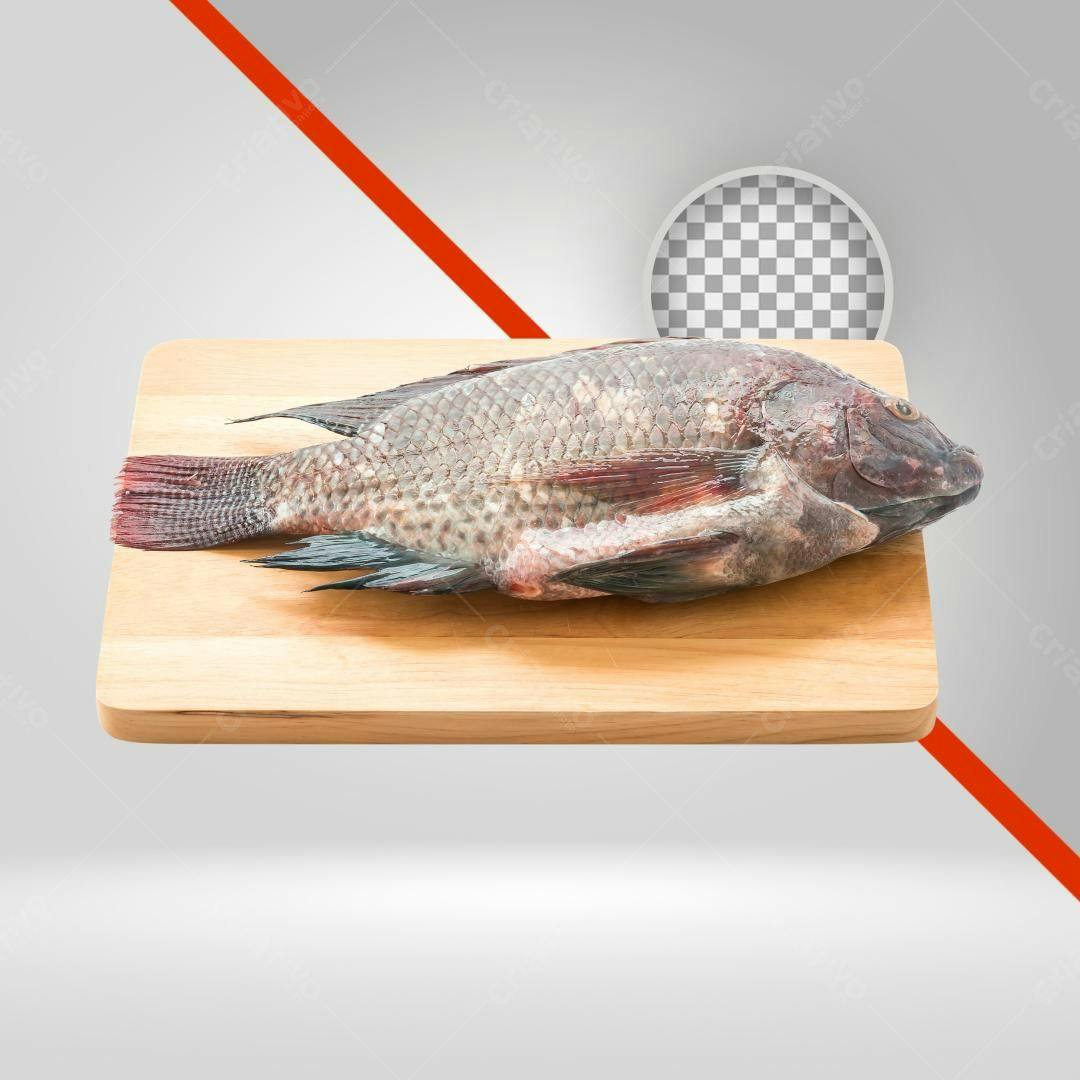 Imagem Peixe Tilápia PNG com fundo transparente