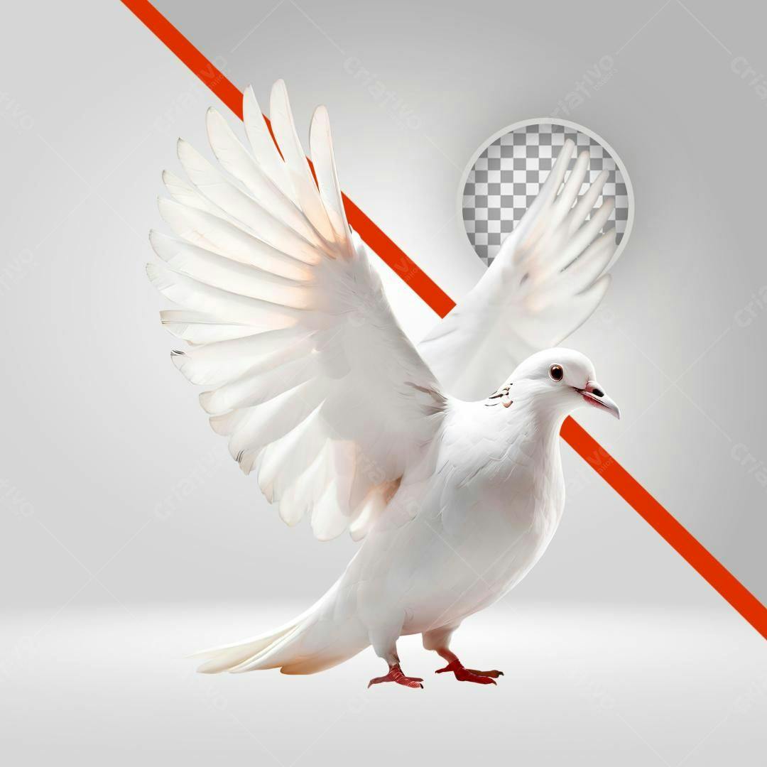 Icone Pomba Paz PNG com fundo transparente