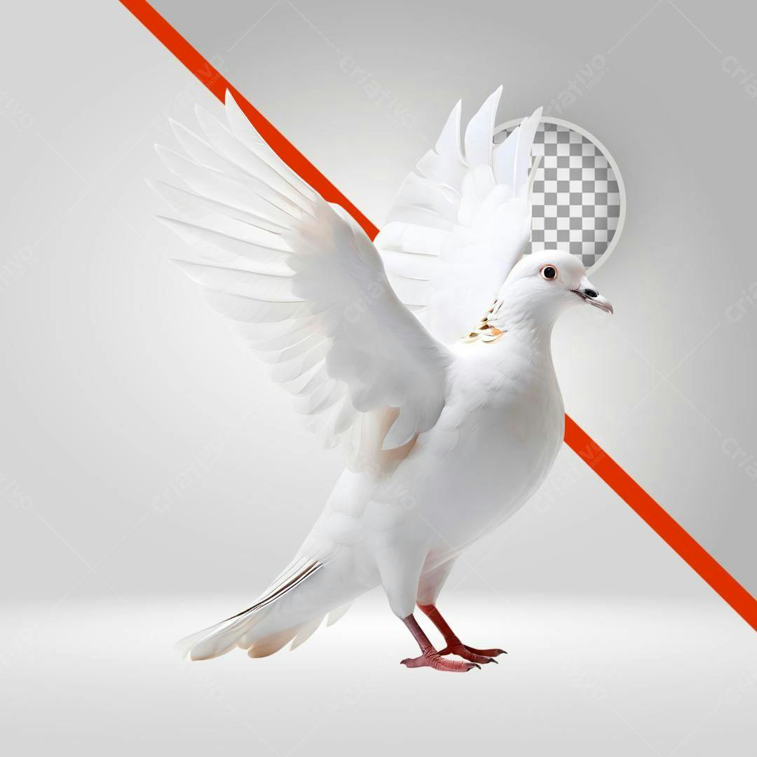 Icone Pomba Paz PNG com fundo transparente