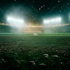 Soccer field full of mist and dust particles.