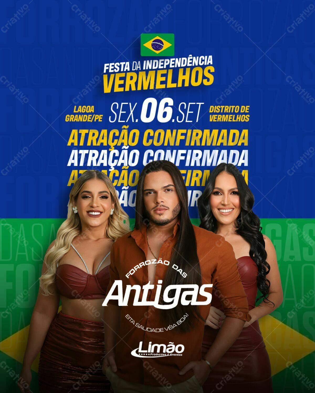 Flyer Festa da Independência PSD Editável
