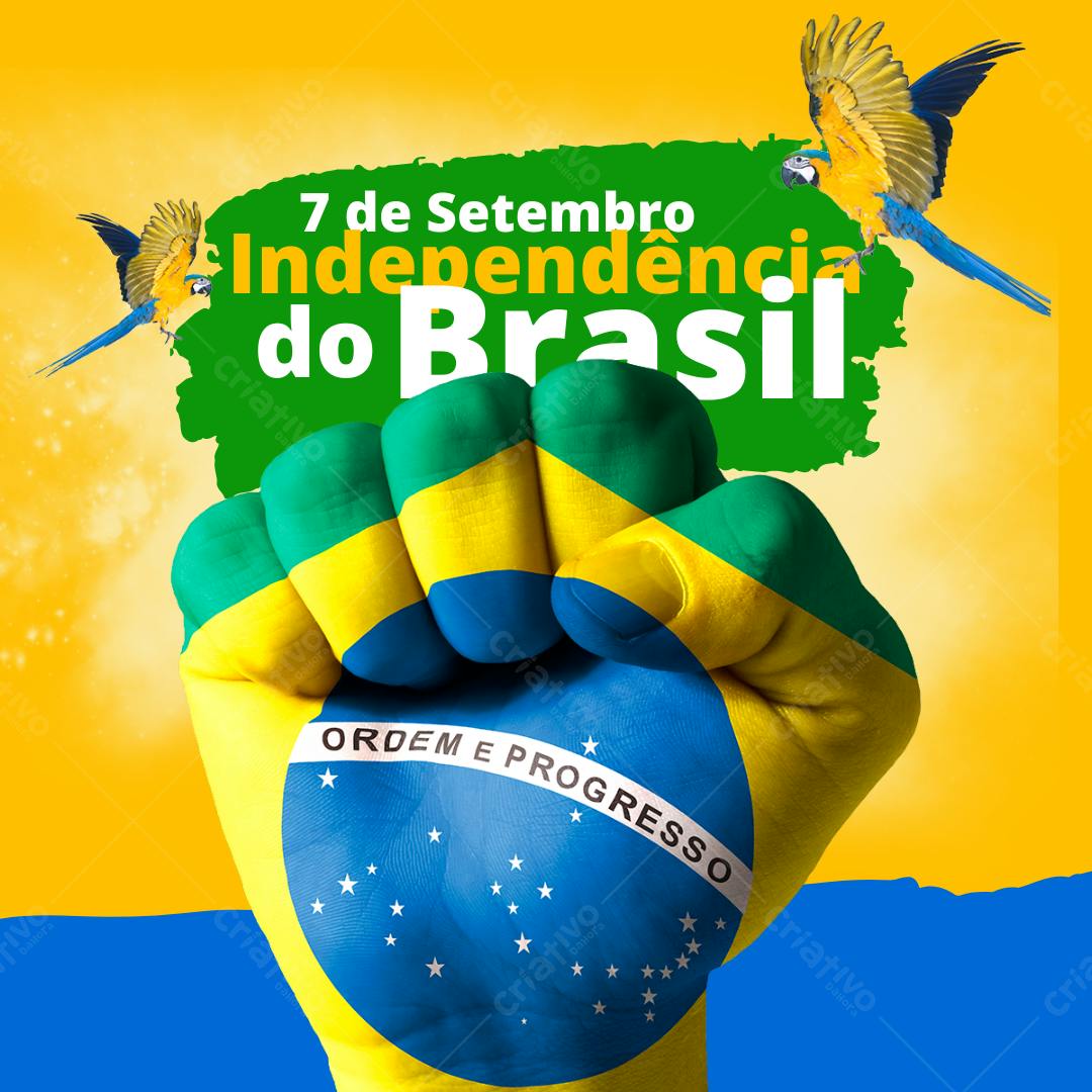 Post Instagram 7 de Setembro com fotos de araras Editável no Canva