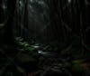 Forest, night, storm, landscape, grove, rain.