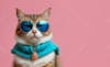 Cat, solid background, clothing, glasses