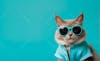 Gato, background solido, roupas, oculos