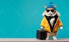 Cat, solid background, clothes, glasses, luggage, travel