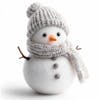 Snowman image on a white background