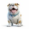 Kamranch 1 bulldog 3d cartoon character full length with white background 3d model.