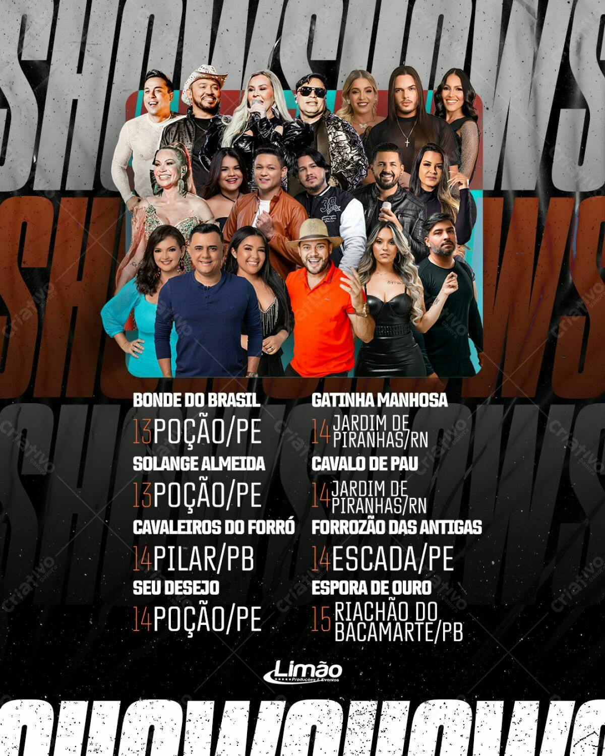 Flyer Show de Shows PSD Editável