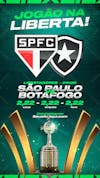 Libertadores, sao paulo, botafogo, simple game, no player.