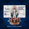 Our lady of aparecida 06