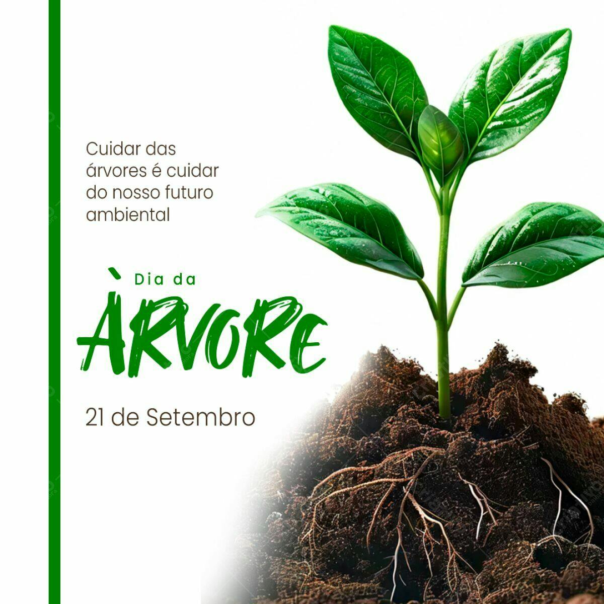 Post para o Dia da Árvore PSD Editável