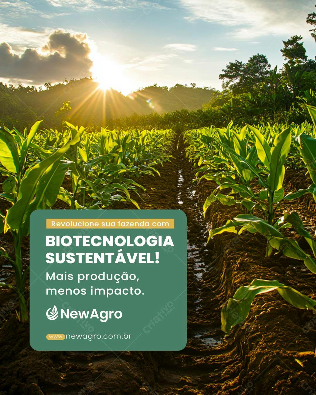 Post para Biotecnologia Sustentável PSD Editável