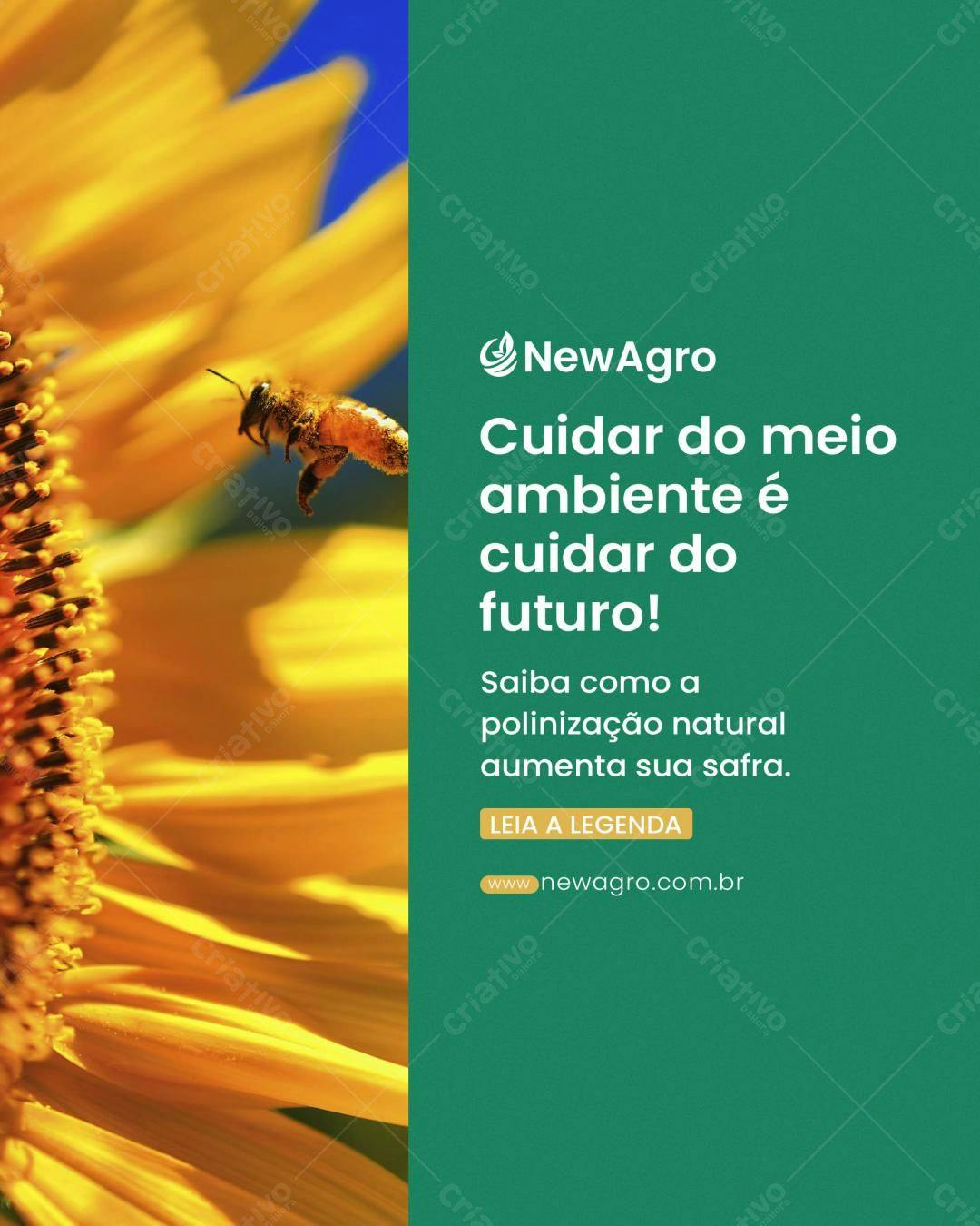Post para Agricultura Sustentável PSD Editável