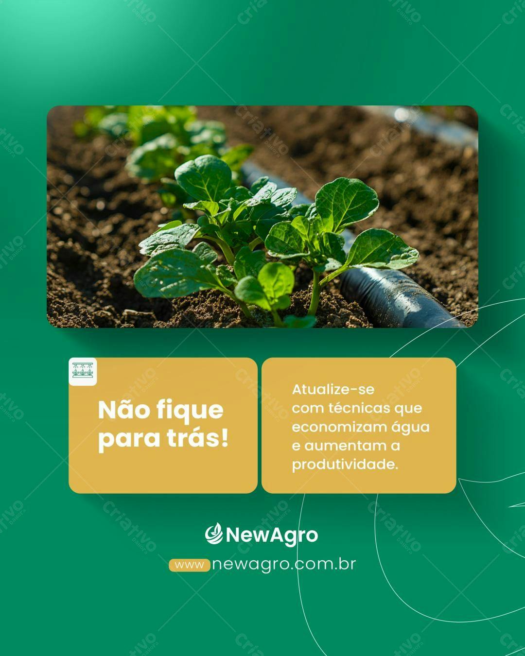 Post para Agricultura Sustentável PSD Editável