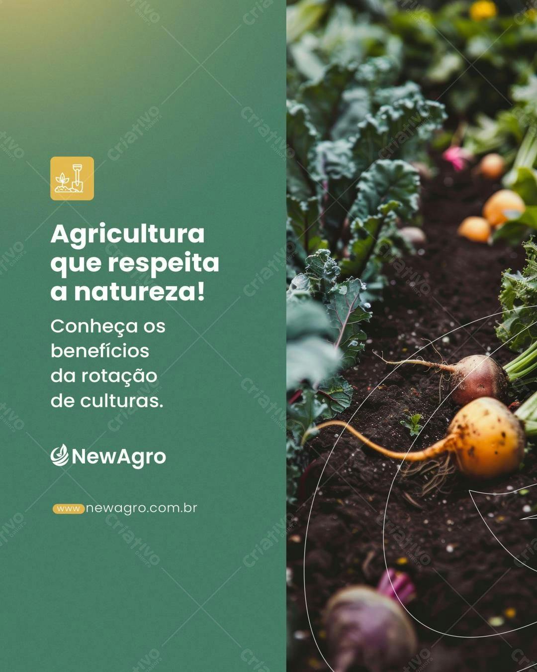 Post para Agricultura Sustentável PSD Editável