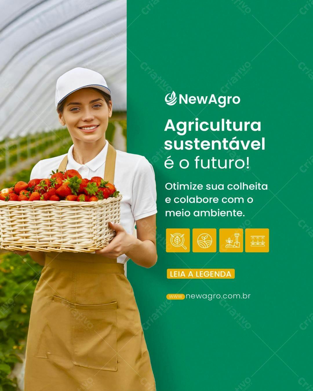 Banner Agricultura Sustentável PSD Editável