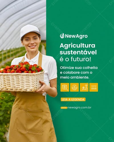 Agricultura Sustentável É O Futuro!