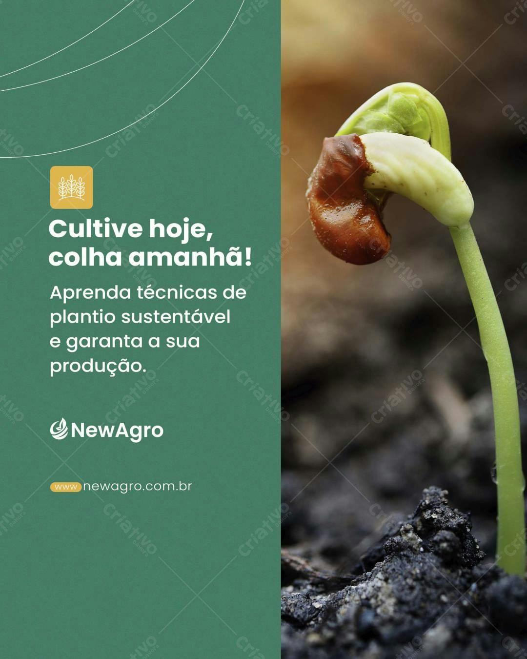 Flyer Agricultura Sustentável PSD Editável