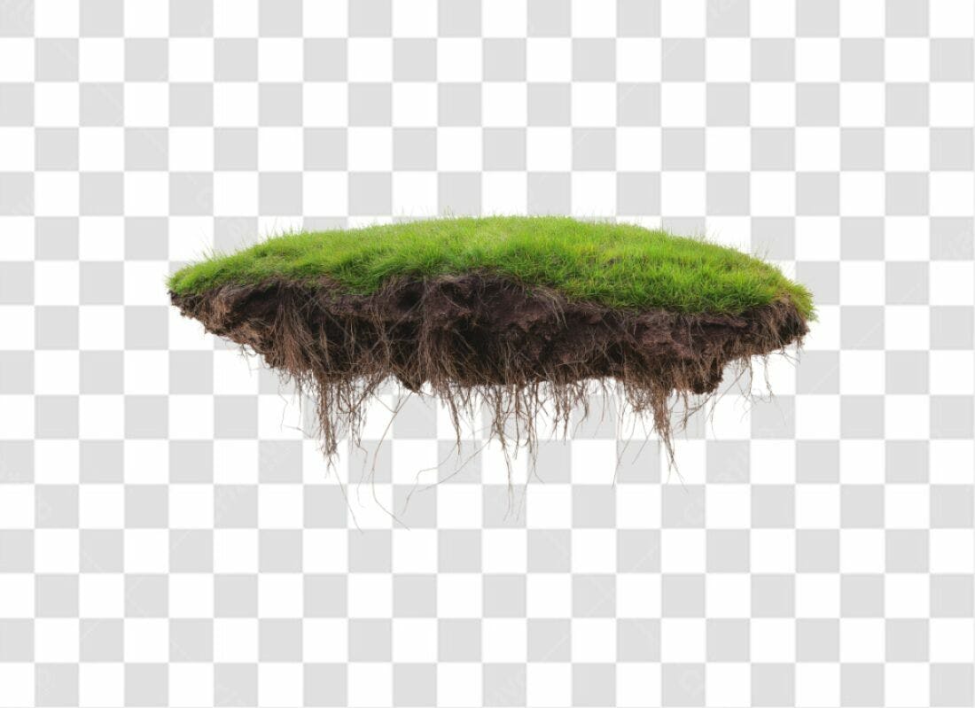 Icone Grama e Raízes PNG com fundo transparente