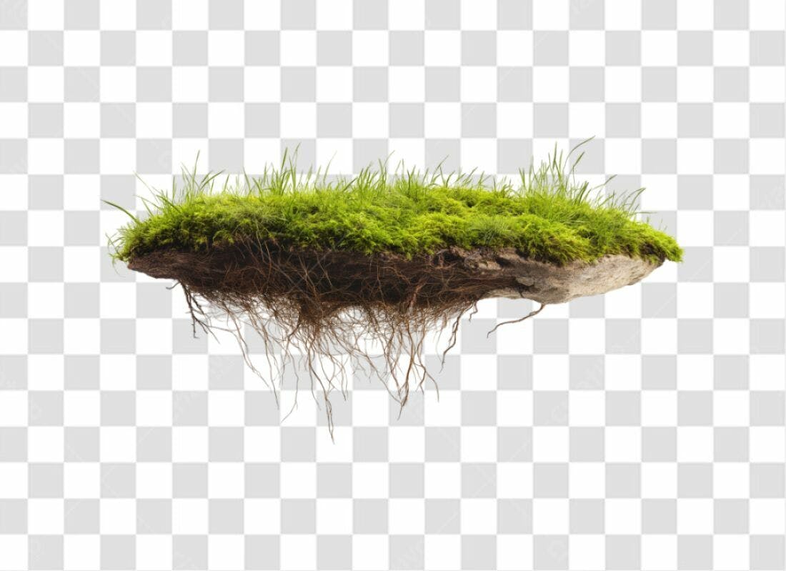 Elemento PNG com fundo transparente Grama com Raizes