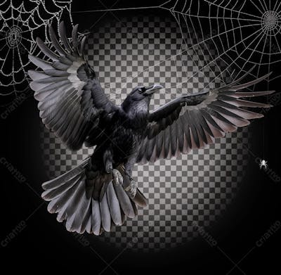 Corvo Para Halloween Isolado Sobre Um Fundo Transparente