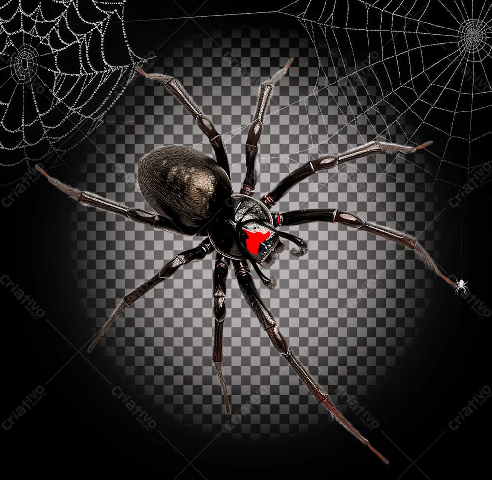 Aranha Preta E Vermelha Para Halloween Isolado Sobre Um Fundo Transparente