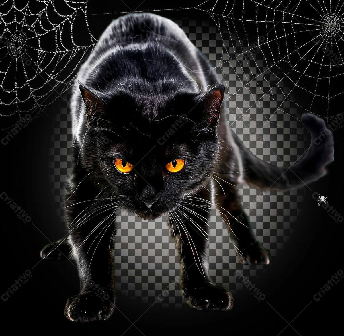 Imagem Gato Preto Halloween PSD Editável