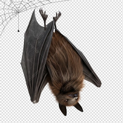 Imagem Morcego para Festa de Halloween PSD Editável