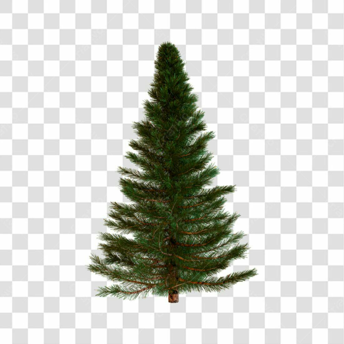Icone Árvore de Natal PNG com fundo transparente