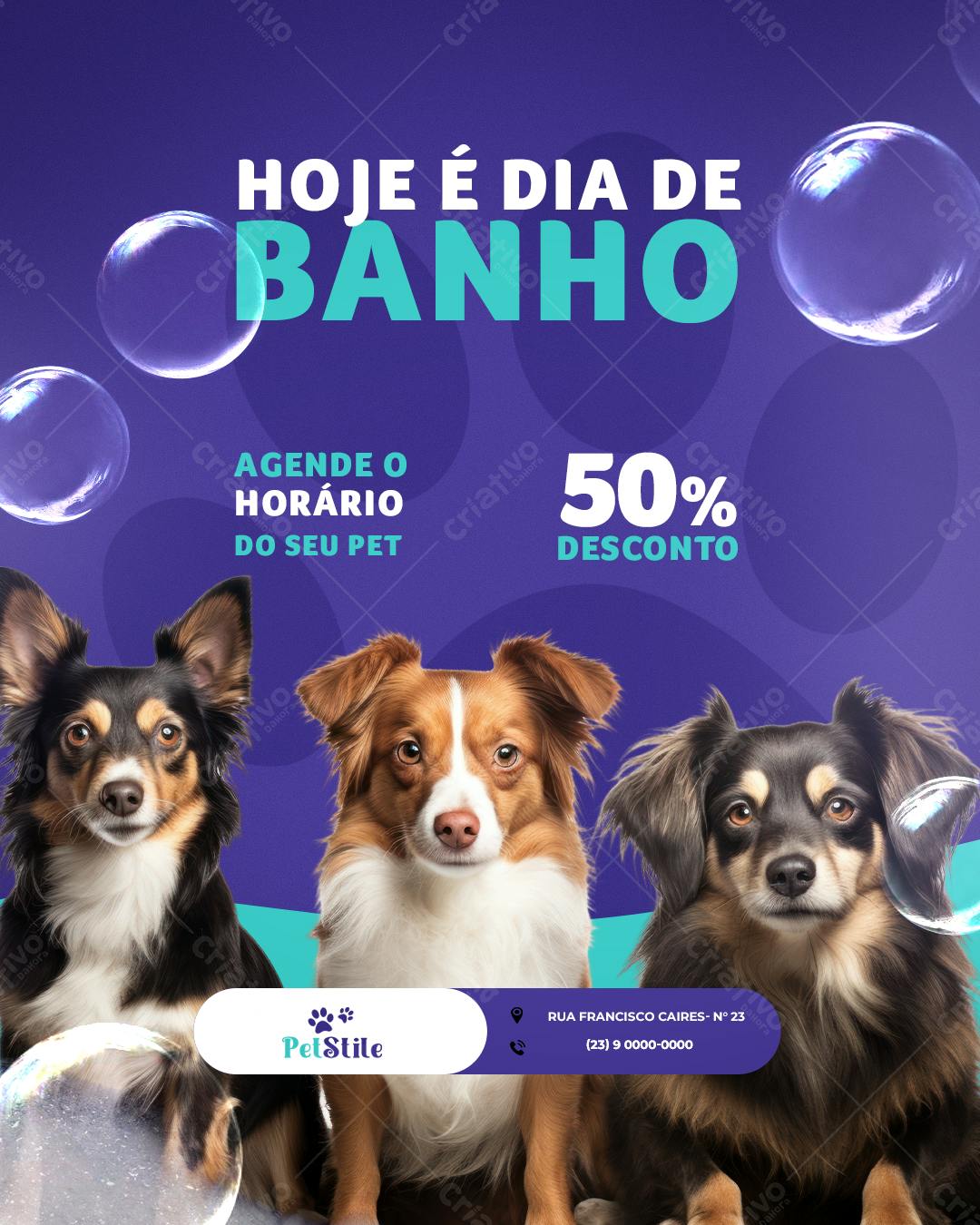Flyer para Pet Shop Dia de Banho PSD Editável