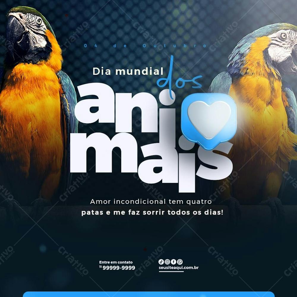 Dia Dos Animais araras