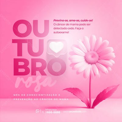 Outubro Rosa 1 Cancer De Mama