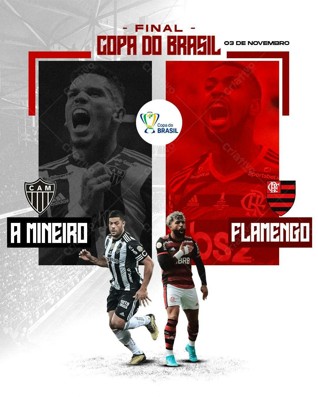 Flyer Final Copa do Brasil PSD Editável
