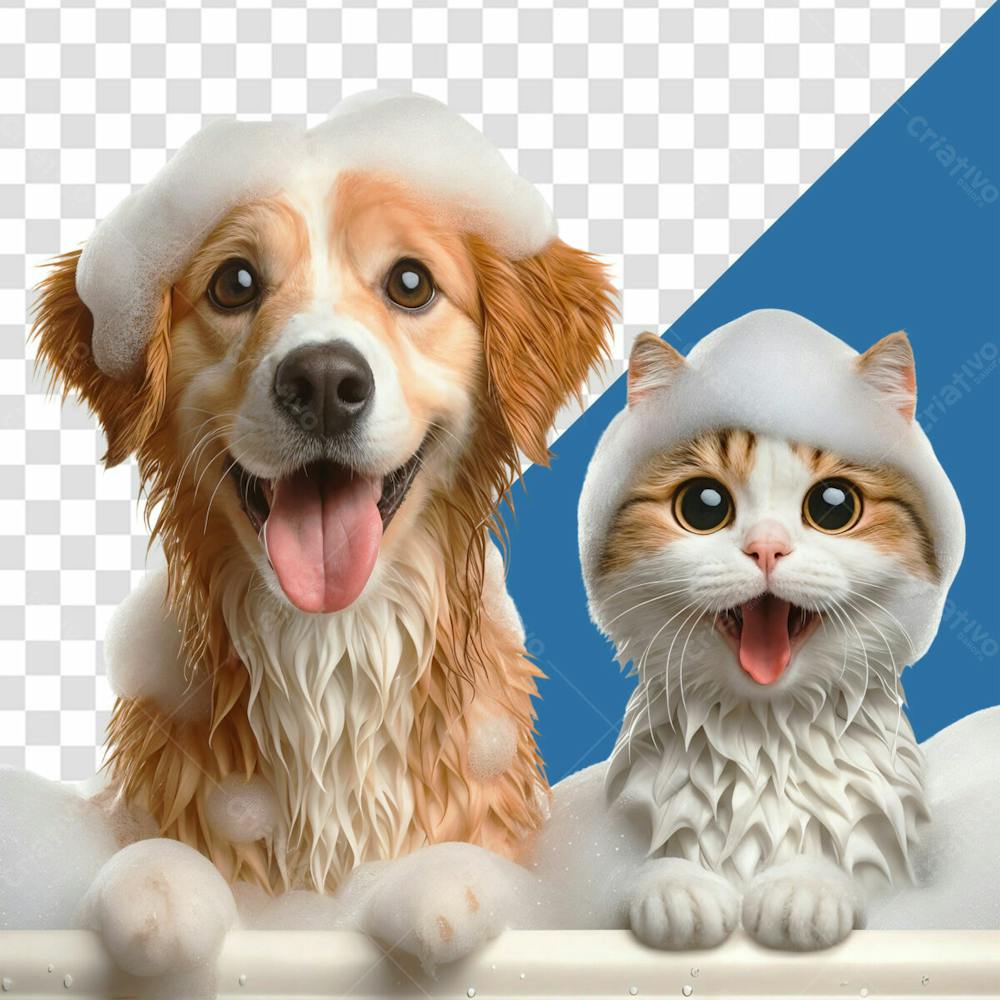 Cachorro Golden Retriever E Gato Felizes Tomando Banho Com Espuma Na Cabeça