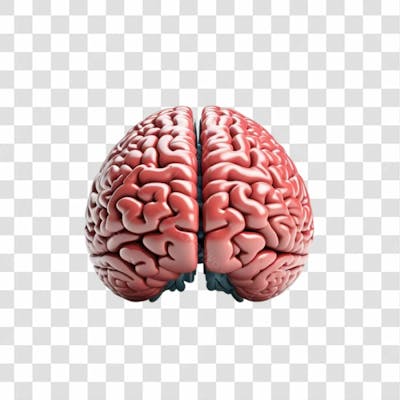 3D Render Cérebro Neurociência Elemento Ícone Psd Png